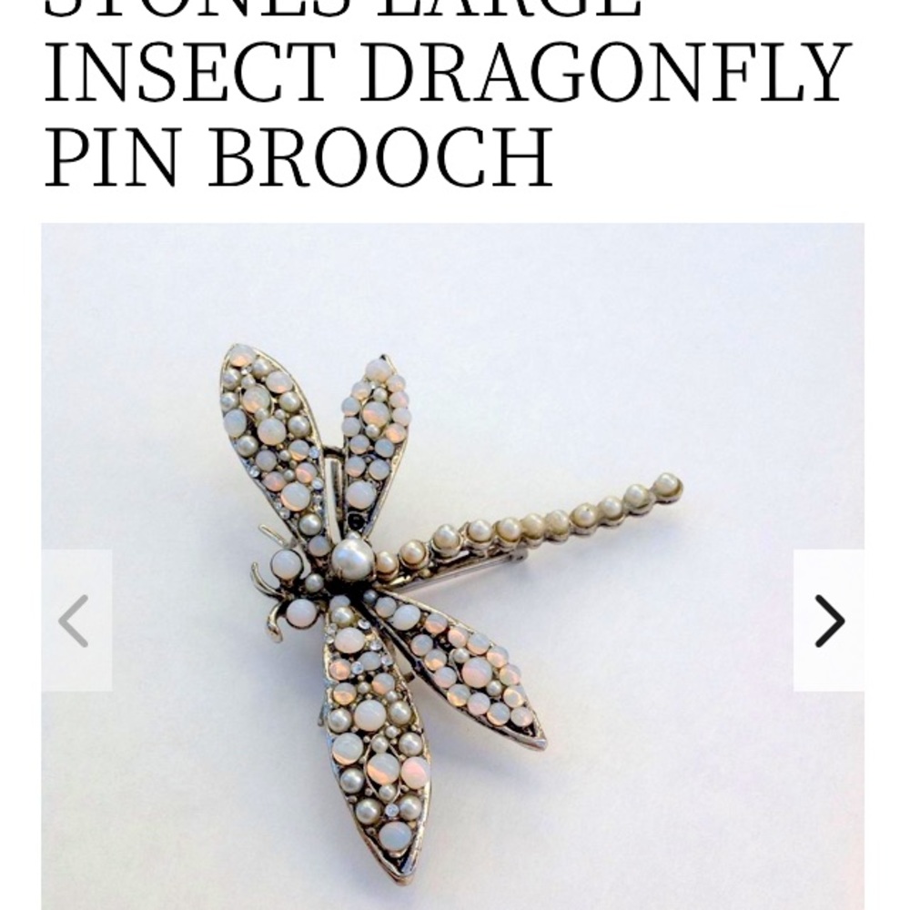 Dragon Fly Simon Tu HauteCoutre Pin. Stamped with name. Pristine condition.